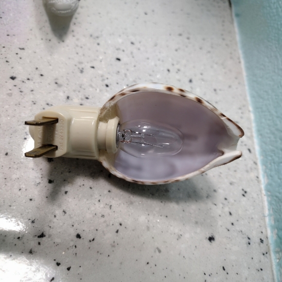 Carved Tiger Cowrie Cactus Night Light - Picture 6 of 9